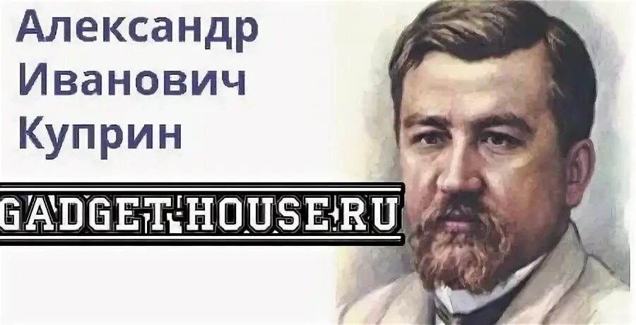 Куприн биография 11 класс видеоурок