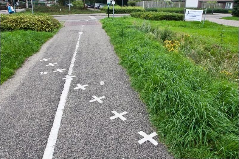 Граница между америкой и канадой. Границы стран фото. Как выглядят границы между странами. Как выглядят границы между странами. Граница между государствами.