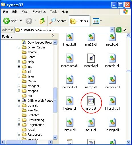 Nk edit. Дата файлы что это. Инфо дат. Расширение dat как открыть. Инфо дат.