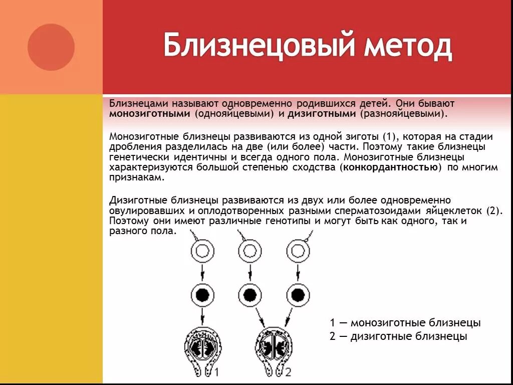 Методы изучения наследственности человека близнецовый метод. Близнецовый метод генетики человека. Близнецовый метод изучения наследственности человека кратко. Однояйцевые (монозиготные) Близнецы.