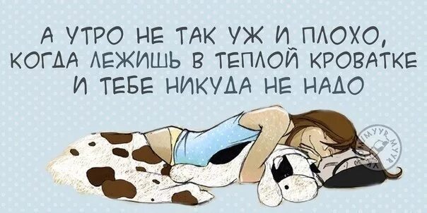 смешные цитаты про выходные. какие планы спать. столько дел было а потом я поела. как провести выходные картинки прикольные. высказывания про сон прикольные.