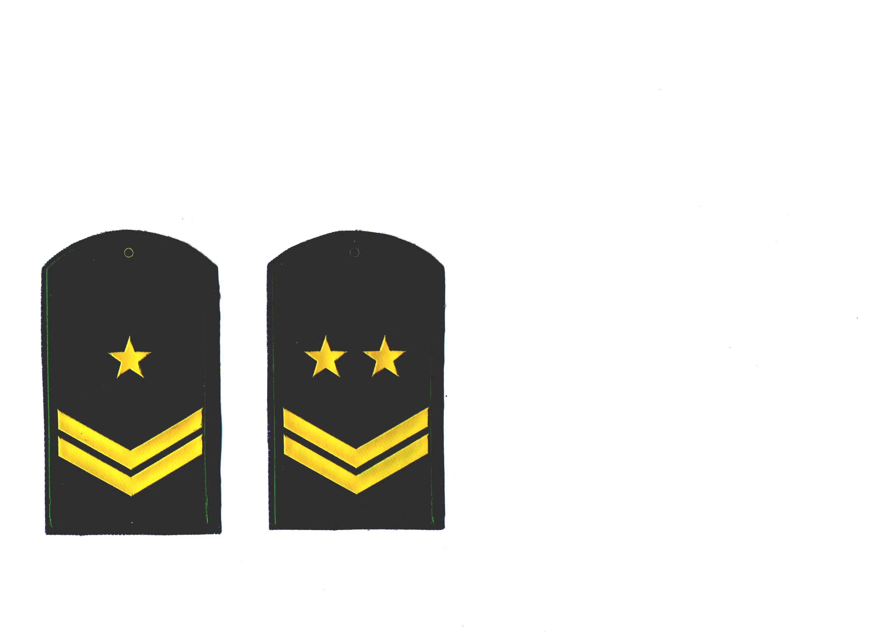 погоны во ждт россии. погоны ждт. погоны ведомственной охраны ждт. погоны военизированной охраны. погоны ведомственной охраны железнодорожников россии.