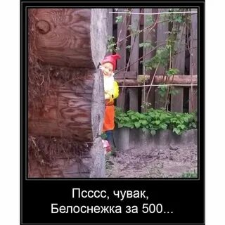 Гномик анекдот