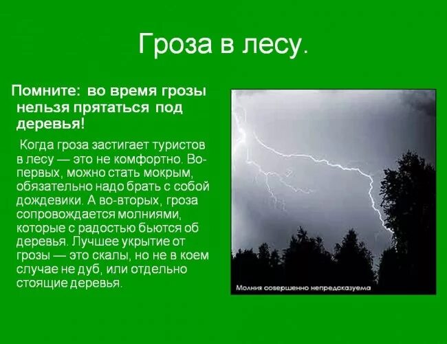Под деревьями во время грозы. Укрытие от грозы. гроза в лесу обж. рассказ гроза в лесу. почему нельзя прятаться под деревом во время грозы.