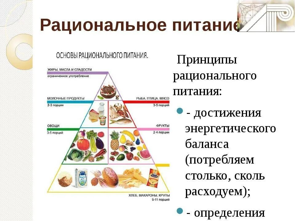 Теоретические основы питания. Принципы сбалансированного питания.. Составляющие рационального питания. Схема сбалансированного питания. Принципы рационального сбалансированного питания.