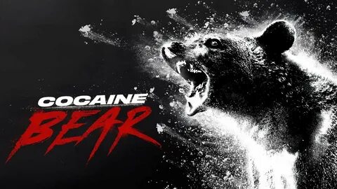 Bear обзор