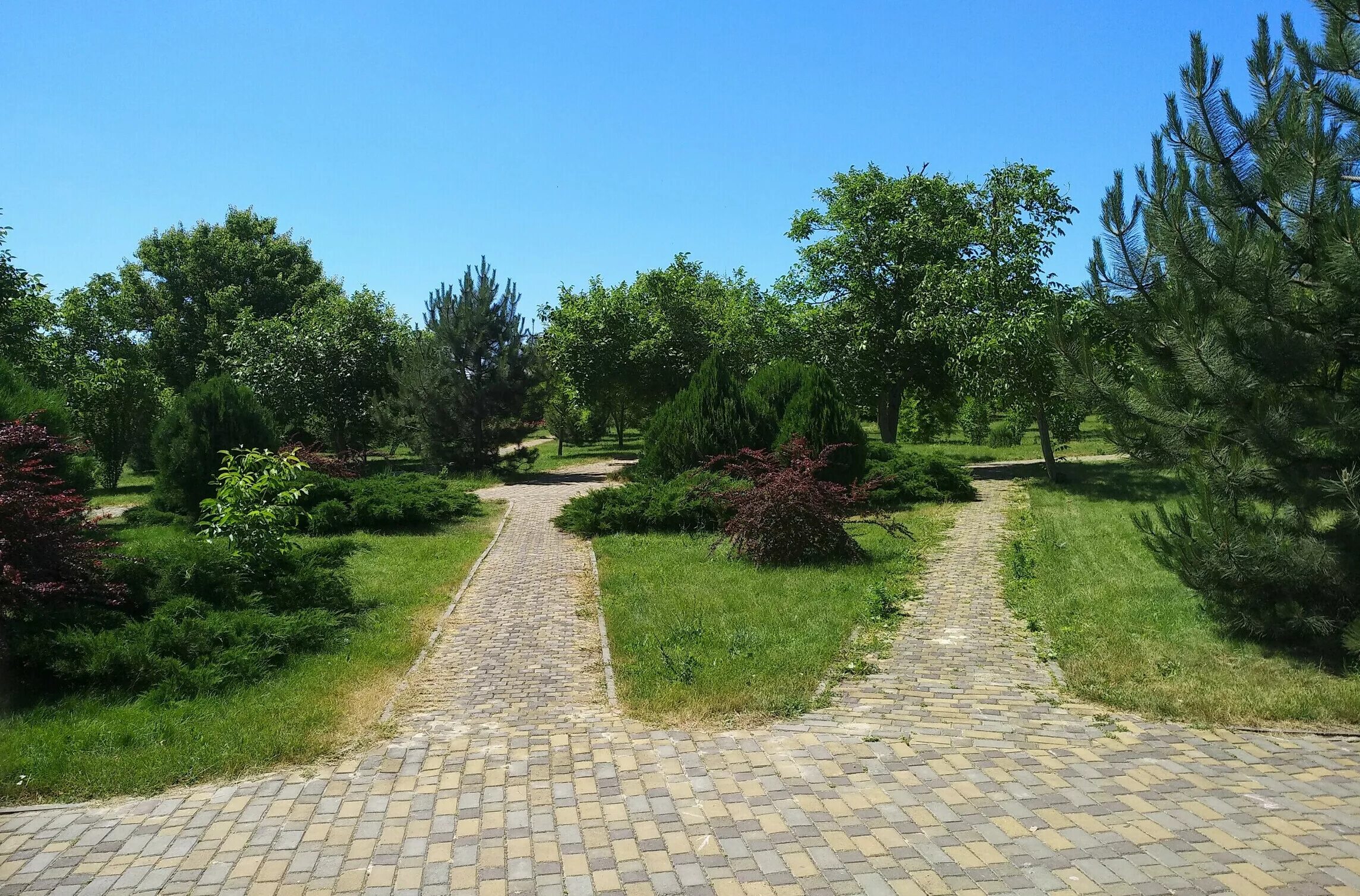 анапа роща парк ореховая в анапе. ореховая роща, анапа, таманская улица. анапа роща парк ореховая в анапе. парк ореховая роща. анапа достопримечательности парка ореховая роща.