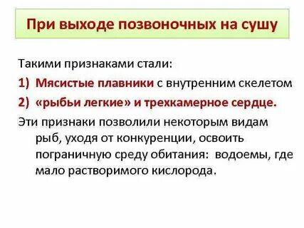 Что такое выход на 1