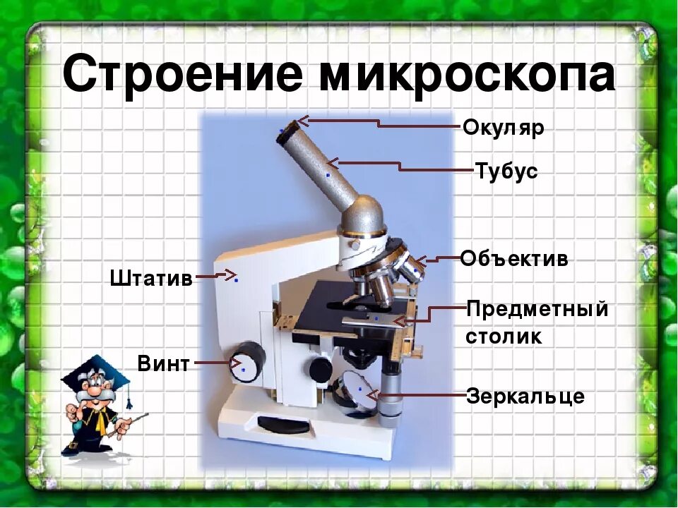 Микроскоп и его части 5 класс биология. Строение микроскопа 5 класс. Строение микроскопа цифрового микроскопа. Биология 5 кл. Строение цифрового микроскопа. Строение светового микроскопа 5 класс биология.