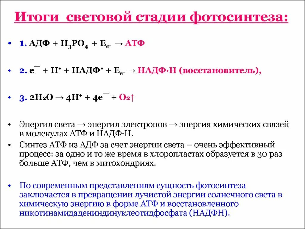 Световая фаза этапы. Этапы фотосинтеза. Этапы световой фазы фотосинтеза. Что образуется в результате световой фазы фотосинтеза. Этапы фотосинтеза АТФ.