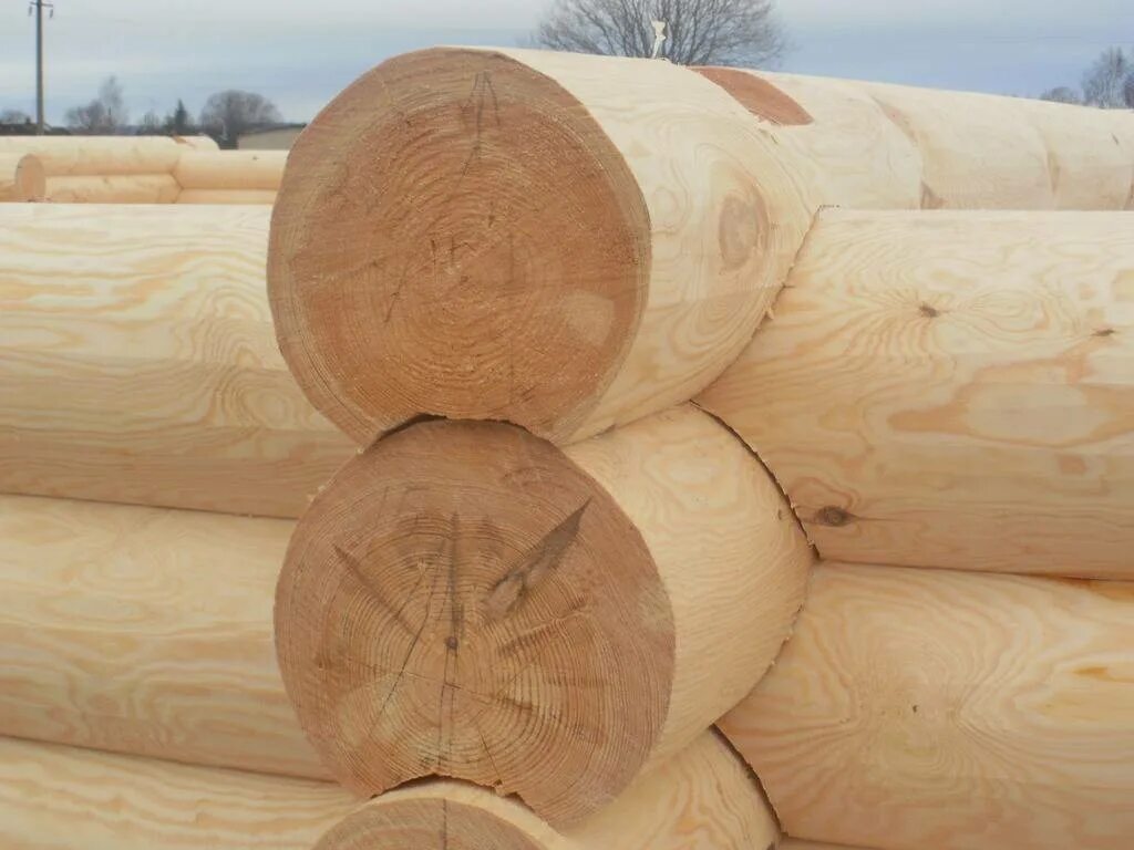 Куб оцилиндрованного кругляка. Оцилиндрованное бревно 300мм. Лиственница оцилиндрованное бревно 180 мм. Оцилиндрованное бревно 180 мм. Оцилиндрованное бревно 280.