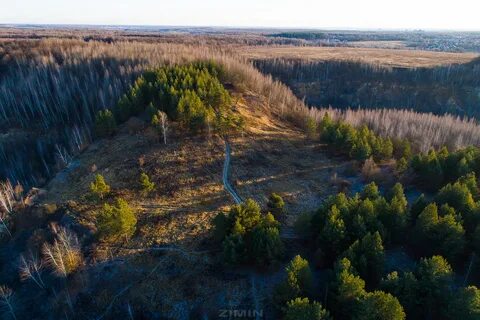 Волотые