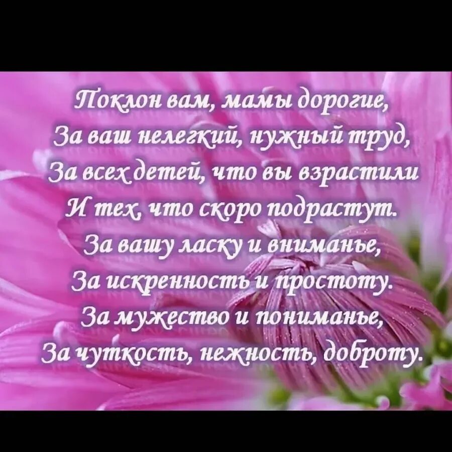 Спасибо дорогие мамочки. Спасибо вам мамы. Спасибо вам дорогие мамы. Стих поклон вам мамы дорогие. Спасибо мама за поздравления.