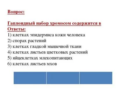 Гаплоидный набор содержит хромосомы числом