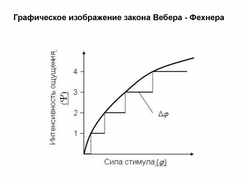 Закон вебера фехнера пример Презентация МЕХАНИЧЕСКИЕ КОЛЕБАНИЯ new
