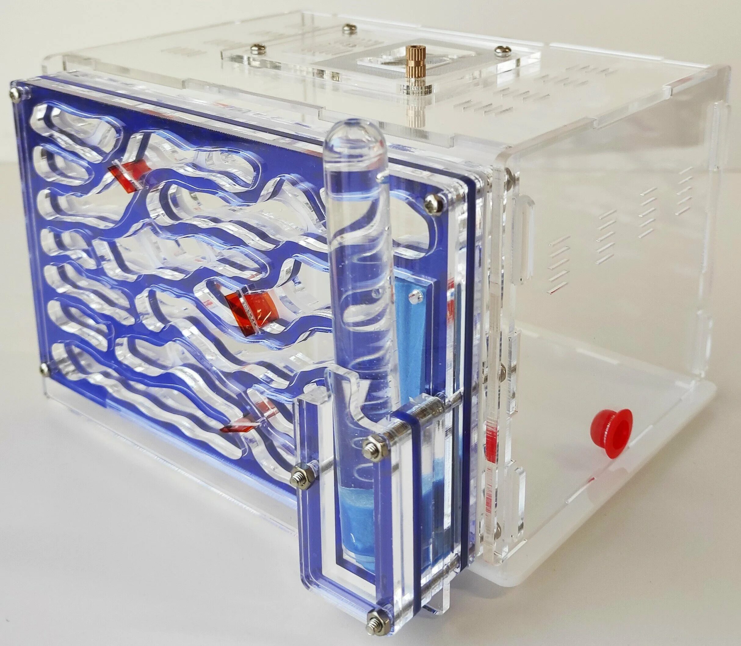 Ant city. Покажи муравьиную ферму. Муравьиная ферма семеновская. Ант сити муравьиная ферма. Муравьиная ферма от про антс ру.