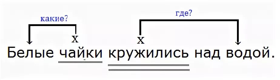 Чайка предложения