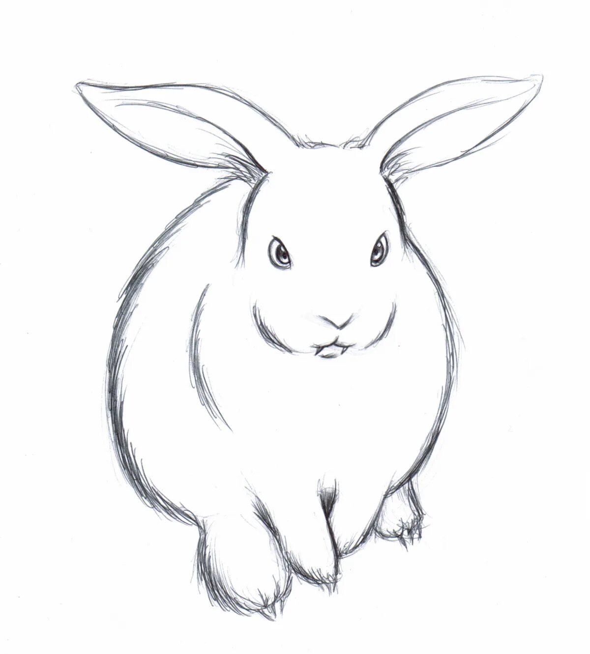 Нарисовать кролика карандашом. Рисунок кролика для срисовки. Кролик карандашом для срисовки. Картинки кролика для срисовки. Рисунок зайца карандашом для срисовки легкие.