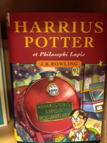 Lina latina. Лингва латина нон. Лингва латина. Фон для презентации латынь. Лингва латина нон.