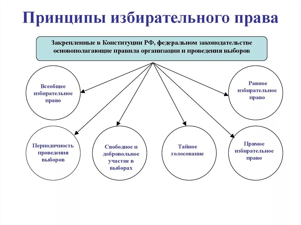 Принципы избирательного процесса в Российской Федерации.. Участие общественной организации в выборах