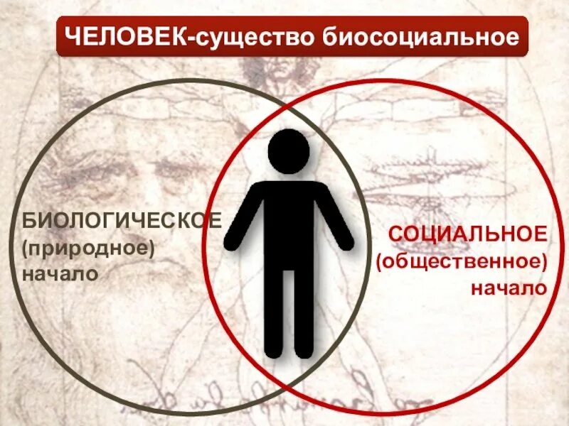 Биосоциальные существа животные и люди. Яелоаеу биосойиальнте сущкство. Доказательство что человек биосоциальное существо. Рисунок на тему человек биосоциальное существо. Биосоциальные существа животные и люди.