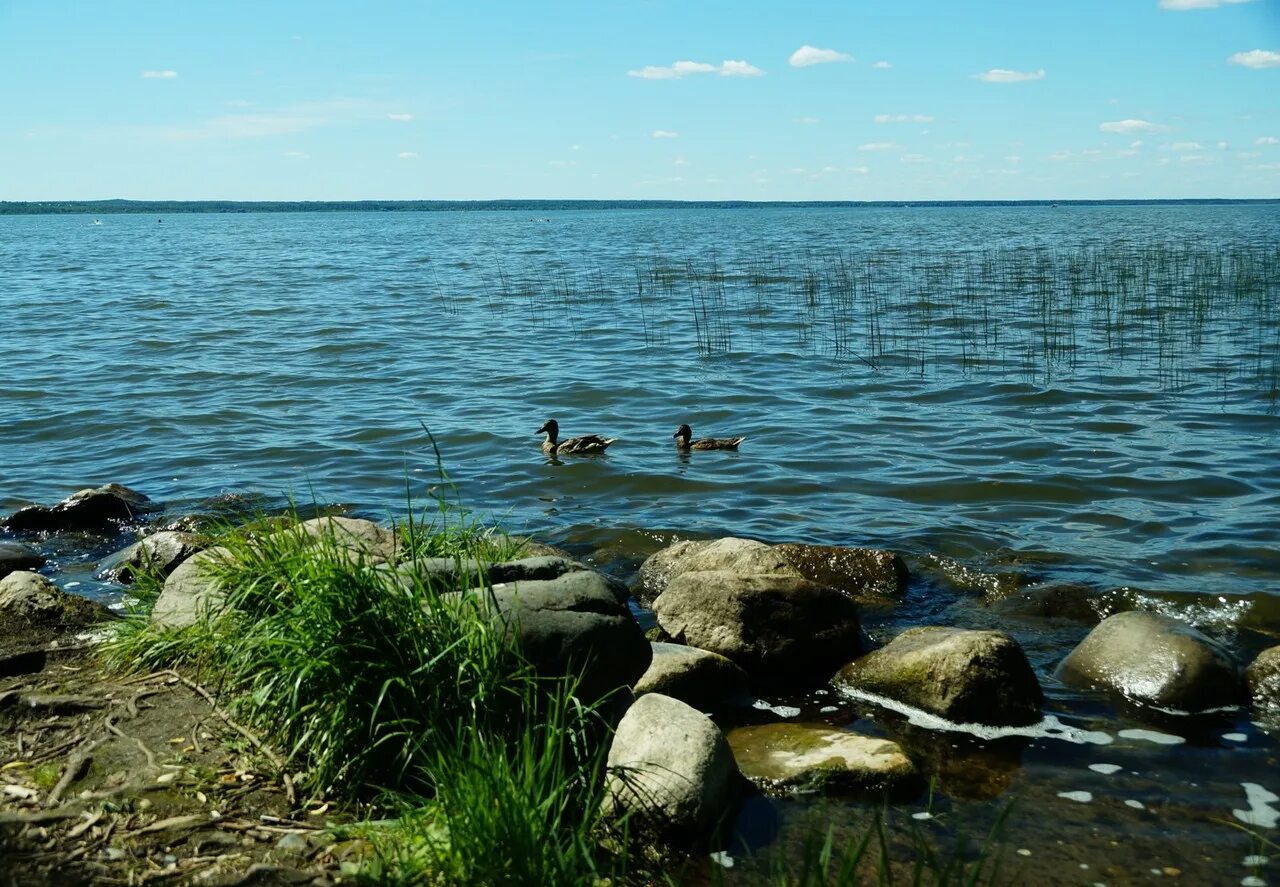 Плещеева озера в каком городе. Плещеево озеро Переславль Залесский. Национальный парк Плещеево озеро Переславль Залесский. Переславль-Залесский озеро Плещеево пляж. Рыбинское водохранилище Плещеево озеро.