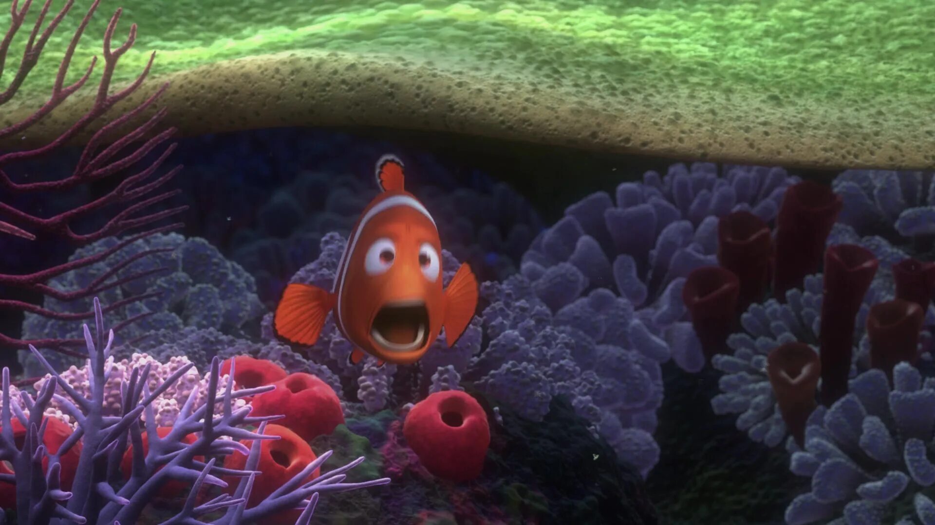 Finding nemo 2003. Немо мультфильм 2003. в поисках немо. водолаз немо.