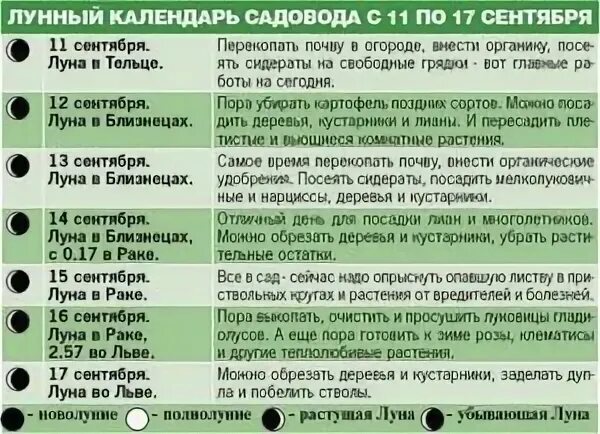 Луна что можно сажать. Посадки при убывающей Луне. Какие овощи сажать на убывающей Луне. Посадка растений на убывающую луну. Что можно сажать на убывающую луну.