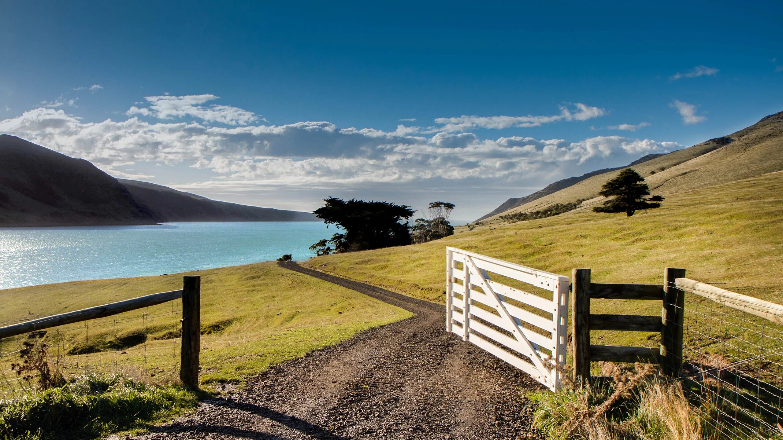 Mark in new zealand