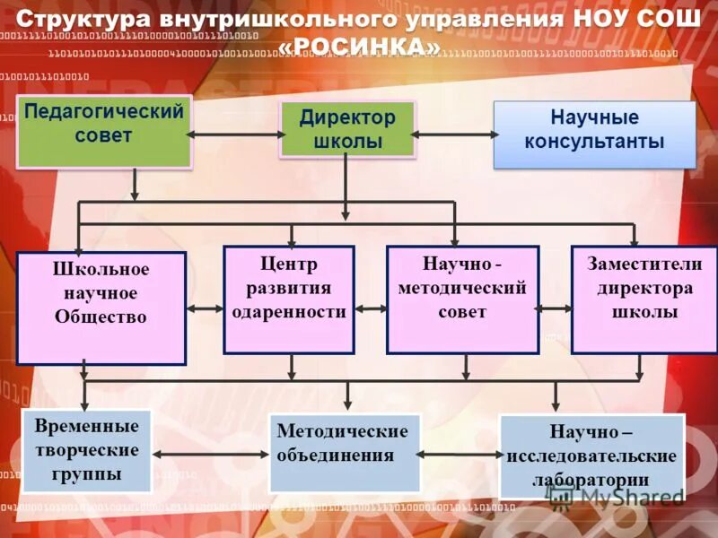 Негосударственное образовательное учреждение. Государственные и муниципальные образовательные организации. Управление воспитательной деятельностью. Управление негосударственным образовательным учреждением. Управления негосударственными образовательными учреждениями.