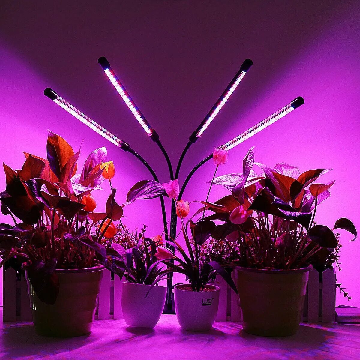 фитолампы в леруа мерлен. 1000w led grow light лампа для растений. светодиодный фитосветильник солнцедар д-30 комфорт с широким корпусом. фитолампа f4054. фитолампа для растений grow light 3 head.