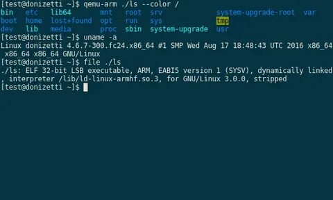 Qemu linux