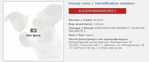Номер чипа