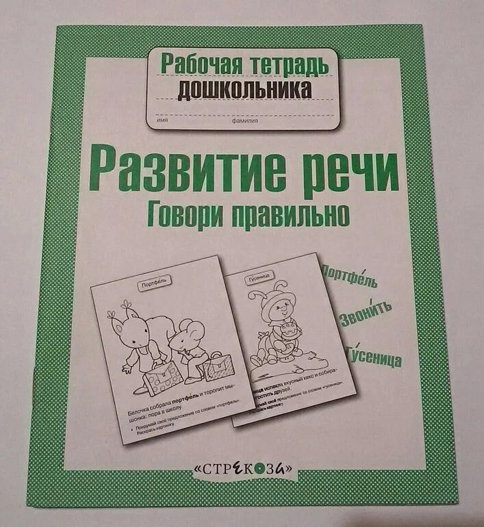 Развитие речи у дошкольников рабочая тетрадь. Тетради говорим правильно. Тетради развития речи 4+. Развитие речи у дошкольников рабочая тетрадь 4+.