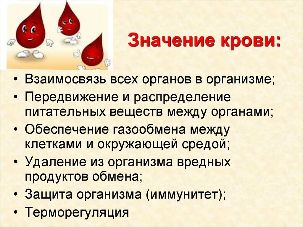 Какого значение крови для организма. Значение крови. Значение крови для организма. В чем значение крови для организма человека.