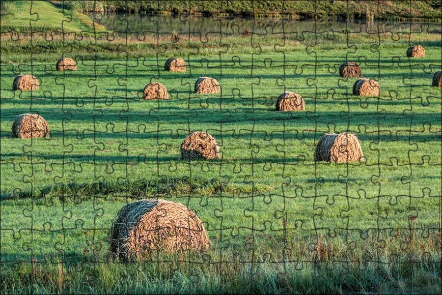 Луга пастбища сенокосы. Сельскохозяйственный ландшафт. Аграрный ландшафт. Культурные ландшафты сельскохозяйственные.