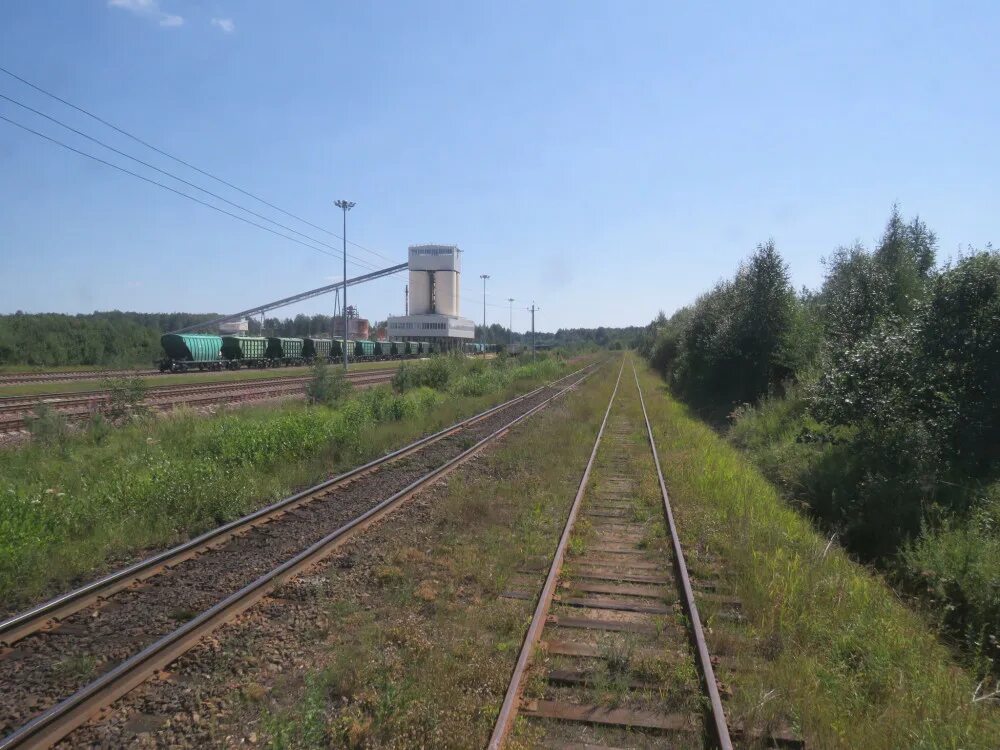 Погода неболчи рп 5. Окуловка Неболчи. Железная дорога Окуловка Неболчи. Поезд Окуловка Неболчи. Окуловка Неболчи мост.