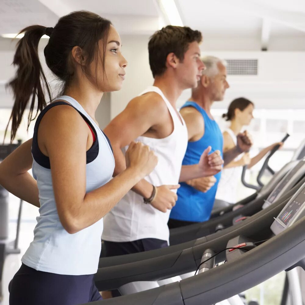 Занятия в зале. Тренировка в тренажерном зале. Занятия на тренажерах. Фитнес тренажеры. Стретчинг тренировка фитнес.