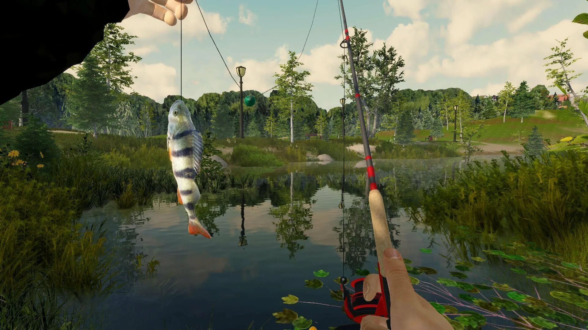 Игра рыбалка. Игра russian fishing 1. Симулятор рыбалки. 1. Игра про рыб.