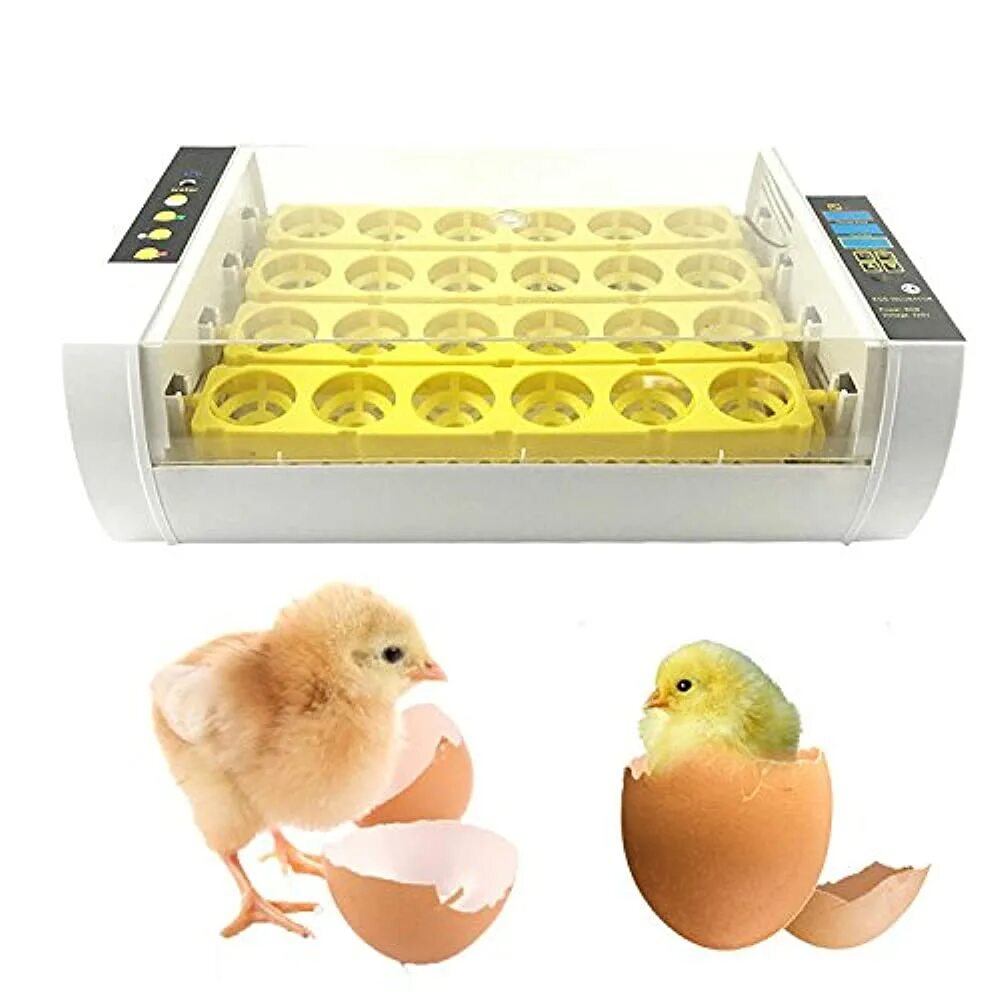 Купить инкубаторы кур. Инкубатор ЭГГ. Инкубатор для яиц Egg incubator. Инкубатор для яиц 500шт. Fully Automatic Egg incubator.