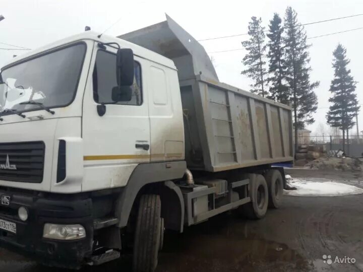 Маз 6501 в9 421000. Маз марка 6501. Маз 6501 бу. Куп маз 6501. Маз самосвал 2022.