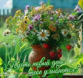Последняя неделя июля