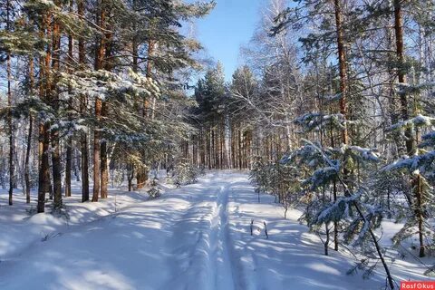 Урал февраль