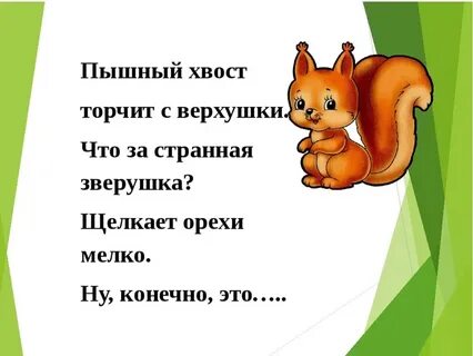 Тайна белки