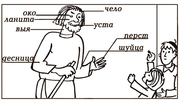 Выя человека. Названия частей тела на древнерусском языке. Как назывались части тела в древности. Устаревшие названия частей тела. Русские старинные названия частей тела.