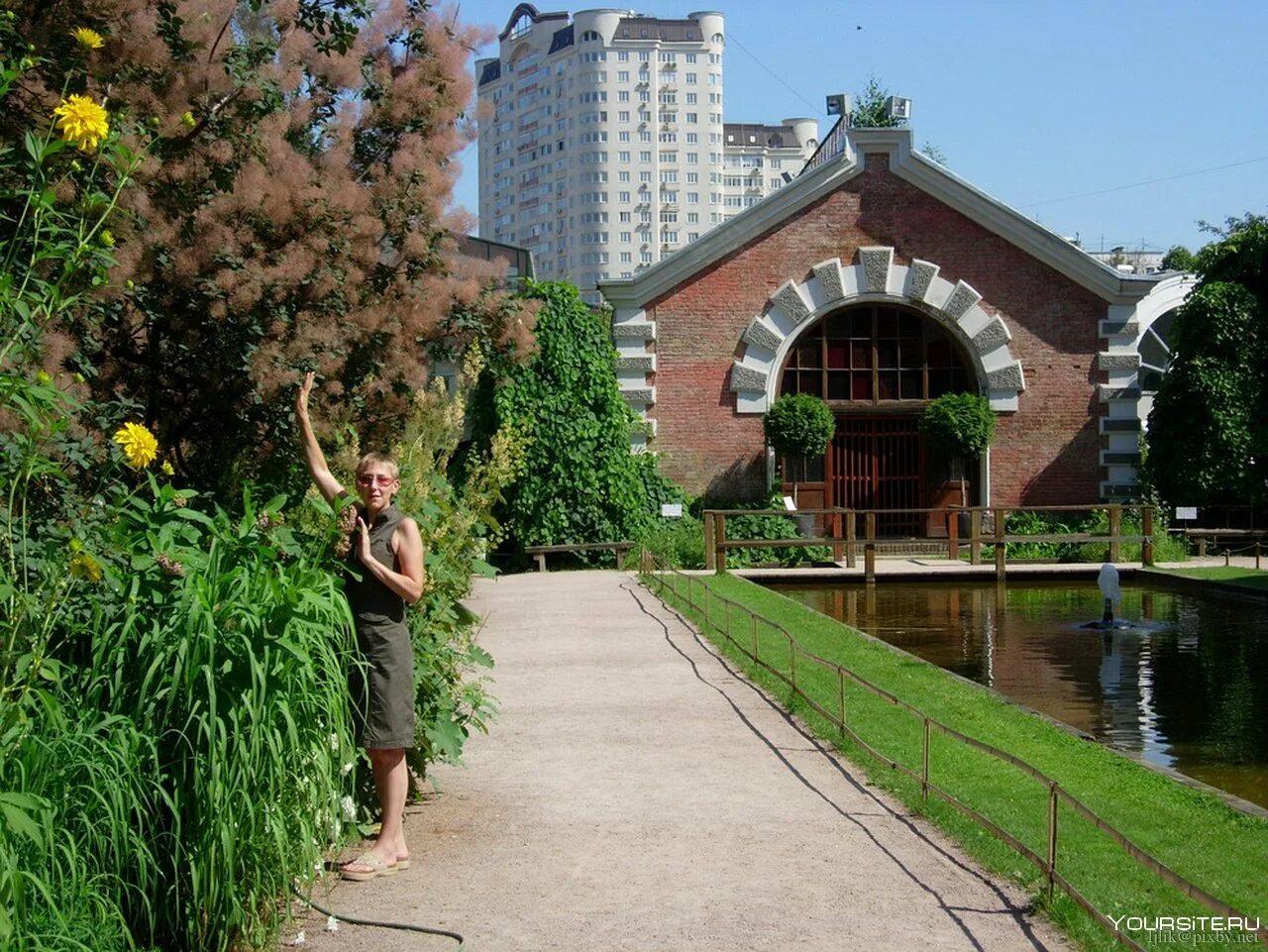 Сад биологического факультета мгу. Ботанический сад МГУ Аптекарский огород. Отанический сад МГУ «Аптекарский огород». Ботанический сад биологического факультета МГУ. Аптекарский огород МГУ розарий.