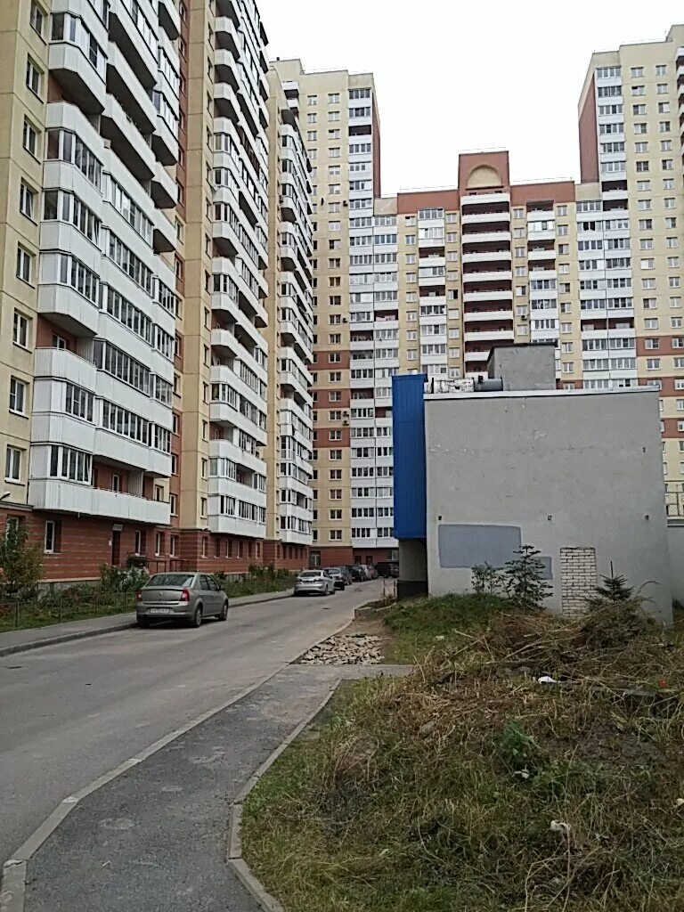 дунайский проспект 55к1. дунайский проспект 51 корпус 2. тсж дунайский. дунайский проспект 31к1. дунайская 31 санкт-петербург.