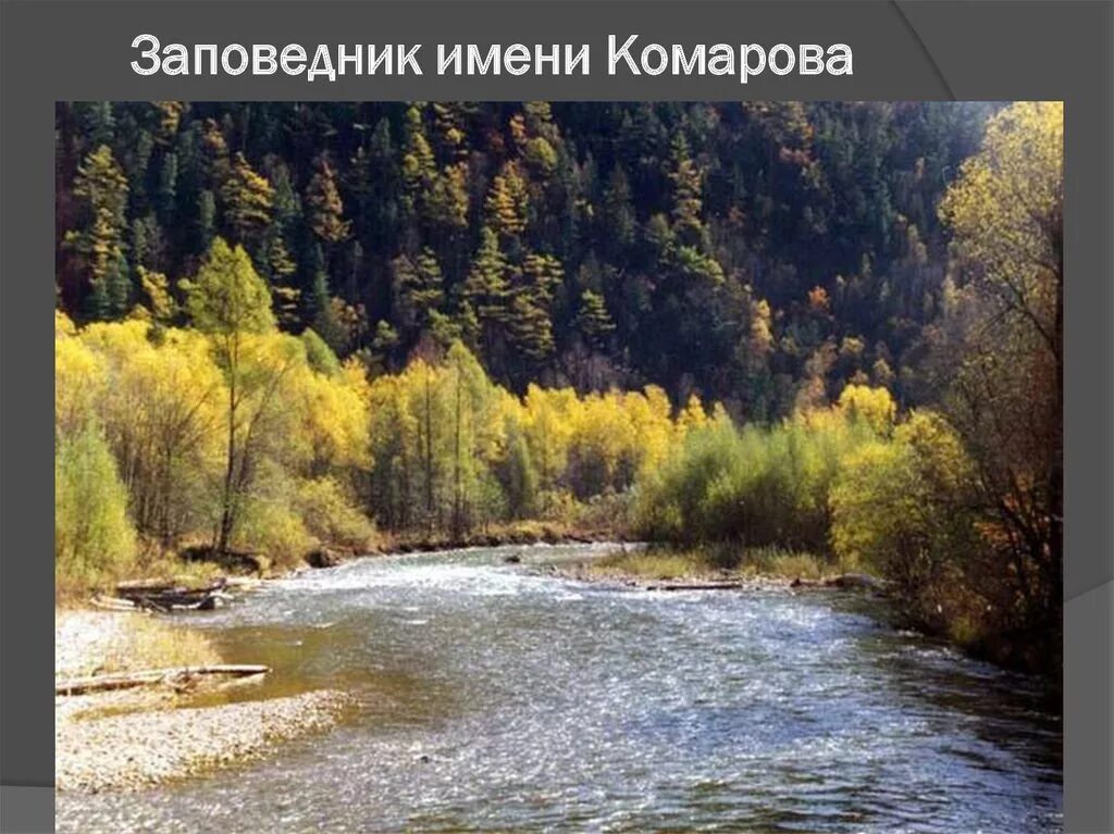 дальний восток уссурийская тайга. в уссурийском крае лето можно егэ. дальний восток уссурийская тайга. в уссурийском крае лето можно егэ. озеро лотосов приморский край уссурийск.