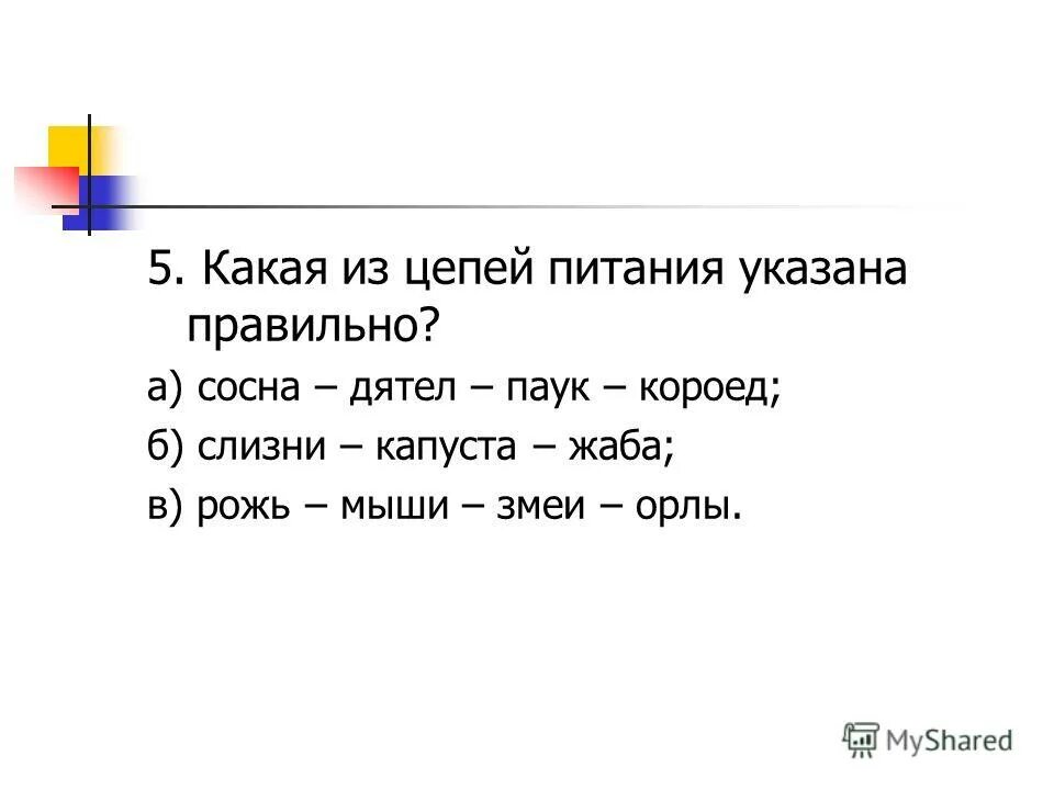 какая цепь питания указана правильно. цепь питания сосна дятел жук. цепь питания сосна дятел жук. цепь питания сосна дятел жук короед. цепь питания дуб жук короед.