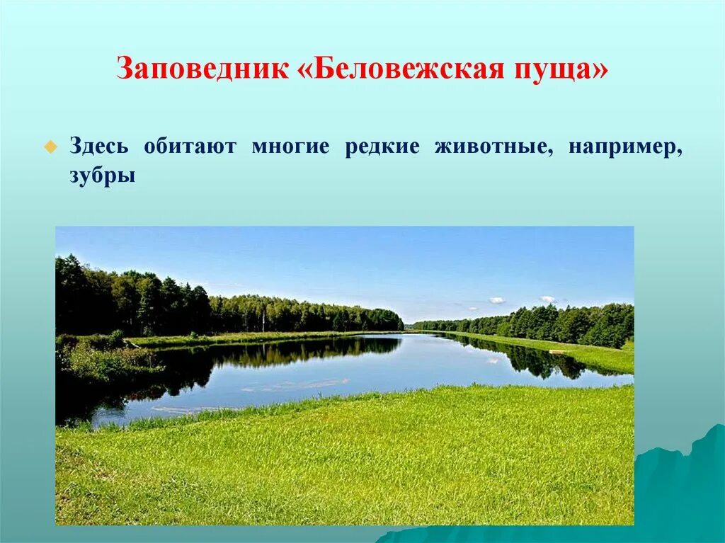 Памятники природы белоруссии 3 класс окружающий